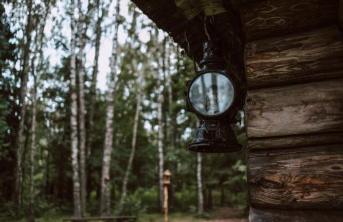 Chatka w lesie - Foto 30