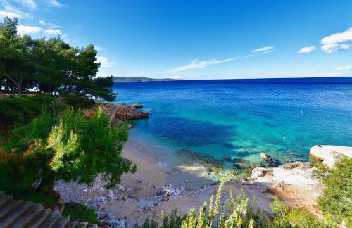 Apartments Petrovac - Foto 33