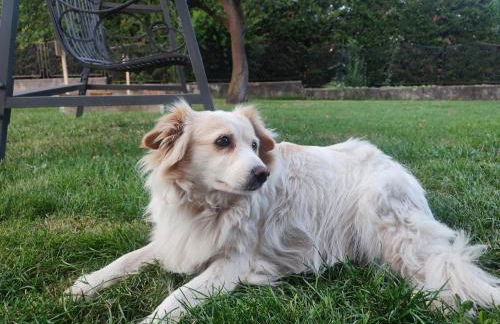 Casa Lilly - Foto 72