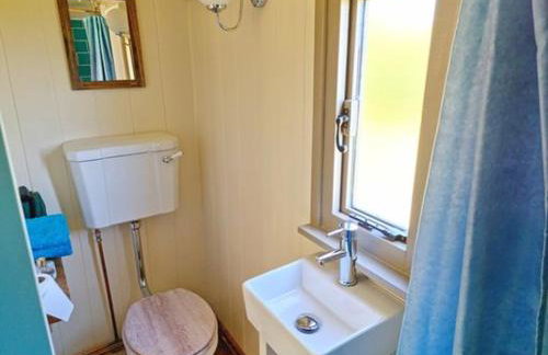 Pen Bryn Shepherd Hut - Foto 8