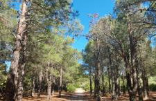 L'occitane - Foto 42