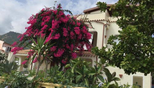 Villa Bouganville - Foto 3, Garden, Garden view