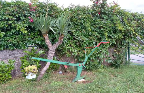 Kuća za odmor Silvano - Foto 10