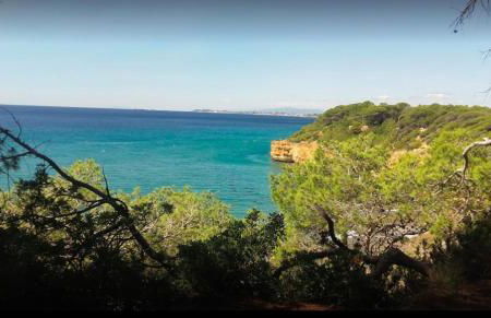 Calipso Tamarit - Foto 60