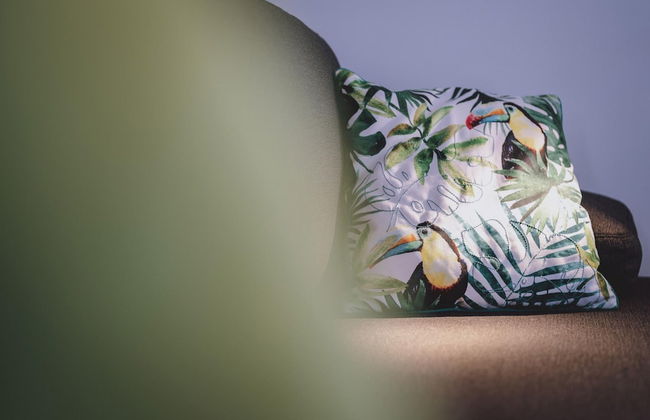 Appartements Sulzer - TOP 31 - Photo 4