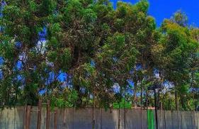 casa em condominio temporada Barra 2 - Foto 10