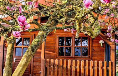 Ferienhaus am See Wutzsee mit direktem Seezugang - Foto 9