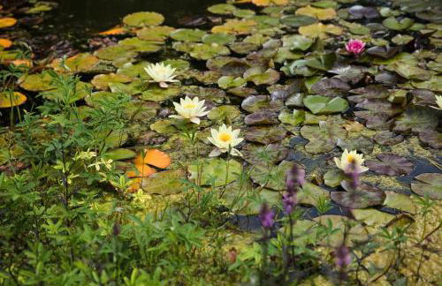 The Cart Shed - Foto 19