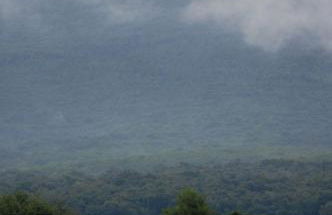 Agriturismo Quattro Pini - Foto 52