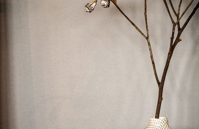 the backyard - Foto 52