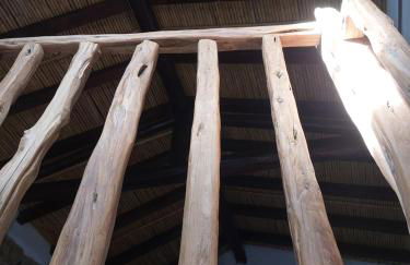 Su Furriadroxiu - Foto 66