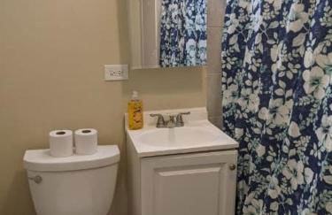 Downtown Vintage Chicago APT - Photo 7