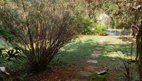 Casa de campo serrana, alegre e com piscina - Foto 5, Garden, Garden view