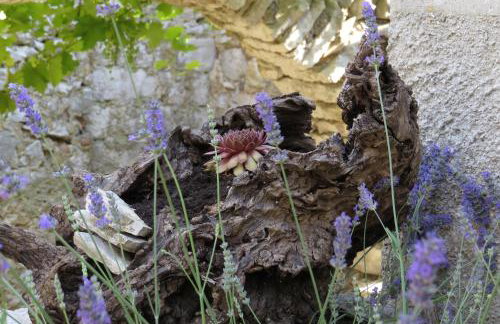 Apartman Biba - Foto 23