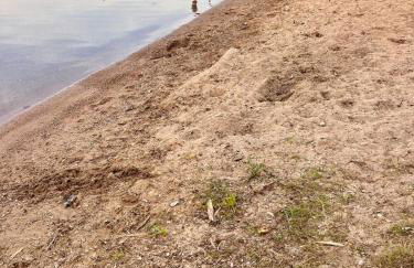 Silver Lake Lodge - Foto 23