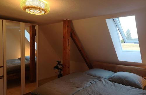 Apartment Moderne Ferienwohnung mit Hot Tub und Fasssauna by Interhome - Foto 9