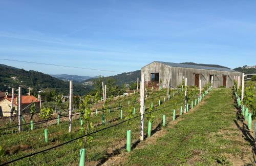 Refúgio Verde Douro - Foto 20