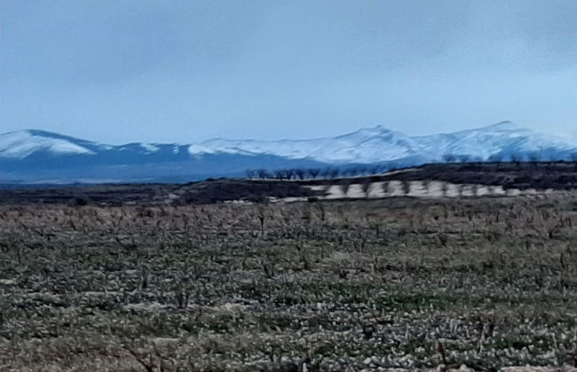 Casa Rural Garnacha de Borja has a Barbacue and Terrace - Foto 44
