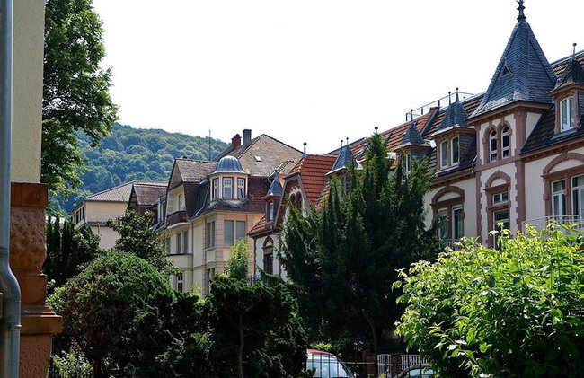 Private Guided Heidelberg Tour from Frankfurt by Train - Photo 7