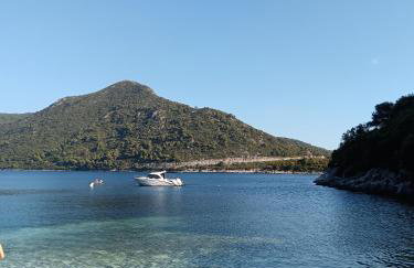 Studio apartment Dragana - Foto 7