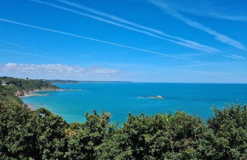 Chaumière côtière: plage à 500m,à deux pas du GR34 - Foto 6