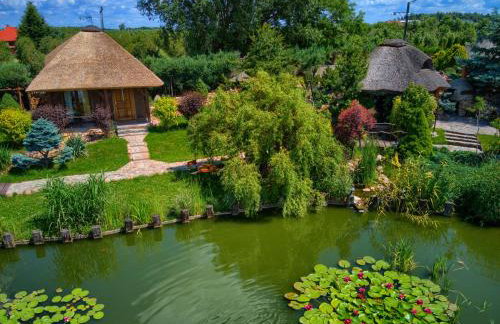 Agroturystyka Mirabelkowe Zacisze - Foto 11