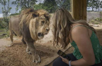 Stylish 2 Bedroom Cottage With Hot Tub And Parking - Foto 31