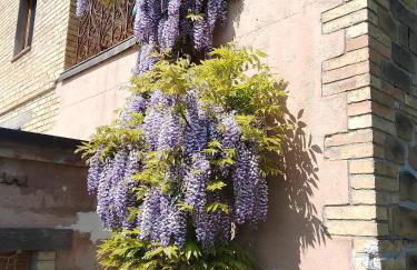 Agriturismo Bellavista - Foto 23