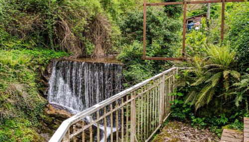 Casa Laura Nature and Art in the heart of Tuscany - Foto 5, Garden, Garden view