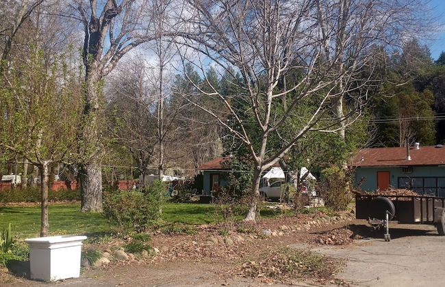 Bigfoot RV & Cabins Park - Foto 41