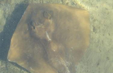 Um quarto da Casa Do Monte - Photo 64