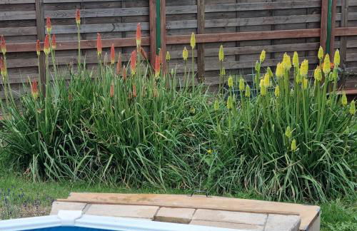 Vacances entre mer et montagne - Foto 7