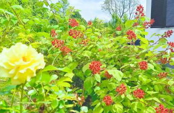 Sleepy Paradise Plitvice - Foto 37