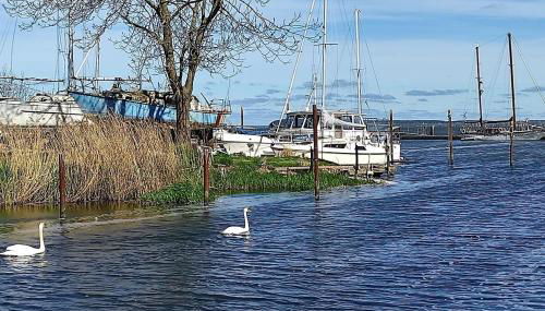 Lassan, Ferienhaus Stine - Auszeit in stilvollem Ambiente - Foto 4