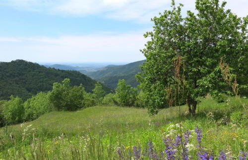 Holiday Home Casa Polava by Interhome - Foto 39