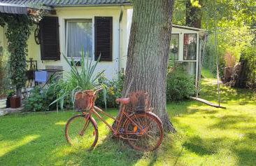 Ferienhaus Schatz - Photo 15