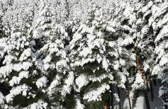 Loft Relajante Est esquí La Pinilla - Photo 32