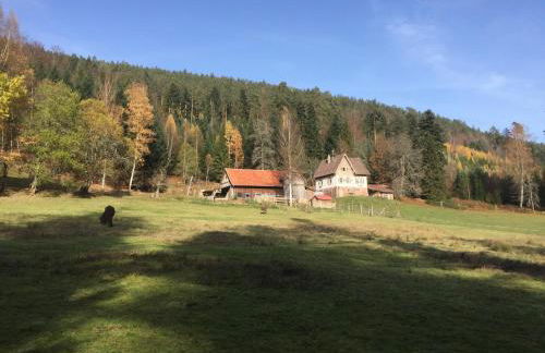 Ferienwohnung Kuckuck auf dem Sommerberg incl Schwarzwald Plus-Karte - 2 Zimmer 50qm - Foto 69