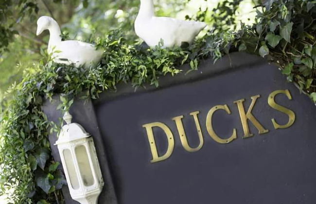 Ducks Country House - Foto 58