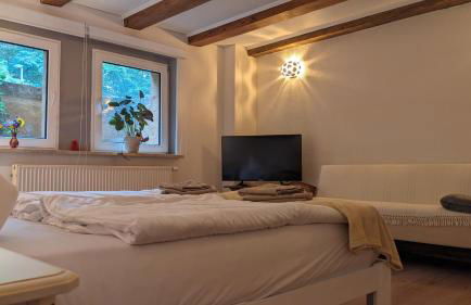 FamilyandBike - Foto 13