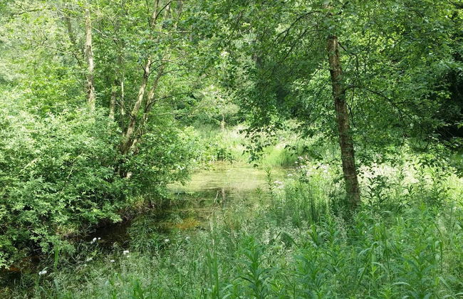 Lakefront Gem in Skarrild - By Traum Ferienwohnungen - Foto 20