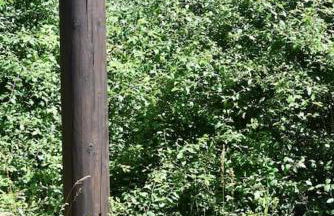 Schöne Wohnung in Oberhausen - Foto 8