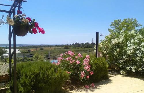 Villa Aleksandra - Foto 14