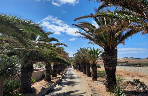 Quintinha das Lombas - Foto 13