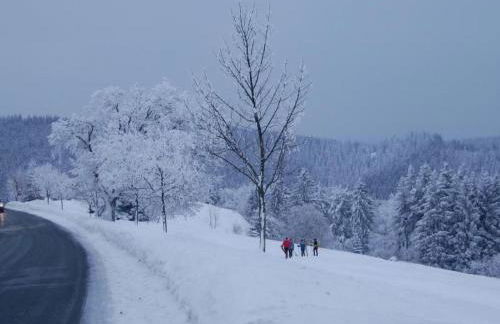 Apartment Landhaus Schneekopf by Interhome - Foto 17