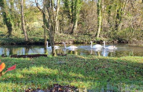 Till Cottage and Riverside Gardens nr Stonehenge - Foto 39