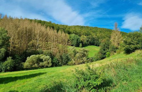 Das-Urlaubszuhause-fuer-Familien-Grossfamilien-Mehrfamilien-und-kleine-Gruppen-bis-zum-12-Personen-mit-vielen-Unterhaltungsmoeglichkeiten-im-Harz - Foto 44