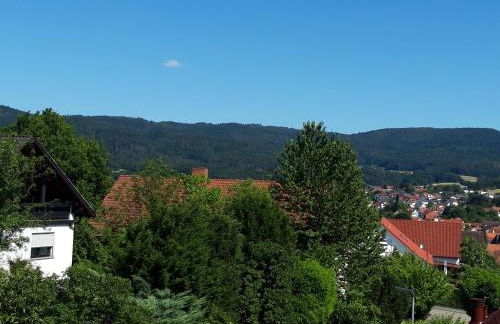 Ferienwohnung Trommblick - Natur Pur - Rimbach im Odenwald - Photo 2