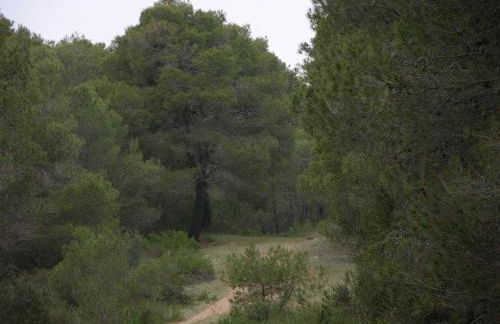 Collins Apartments - Foto 33