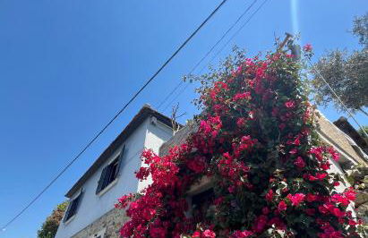 Douro Rural Home - Foto 40
